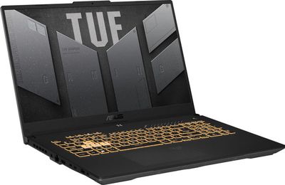 Игровой ноутбук Asus TUF Gaming F17 FX707ZC4-HX100